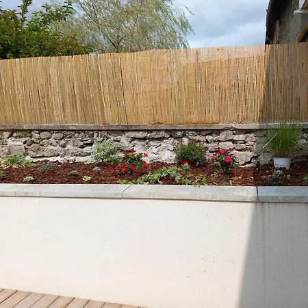 La Tourterelle En Auvergne Champs (Auvergne)