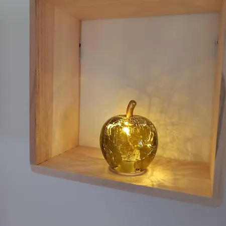 La Tourterelle En Auvergne *