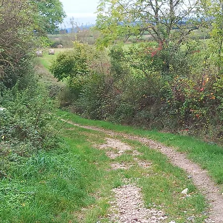 Dom wakacyjny La Tourterelle En Auvergne Champs (Auvergne)