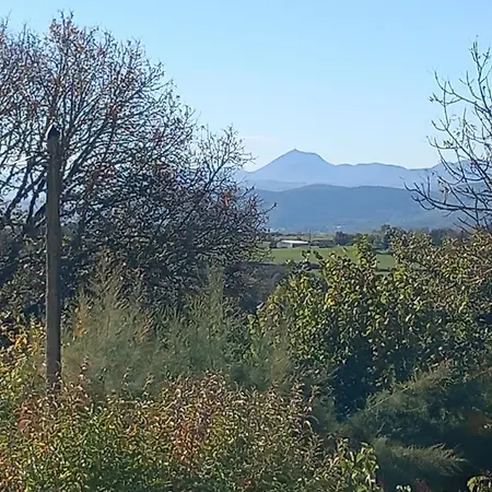 La Tourterelle En Auvergne *