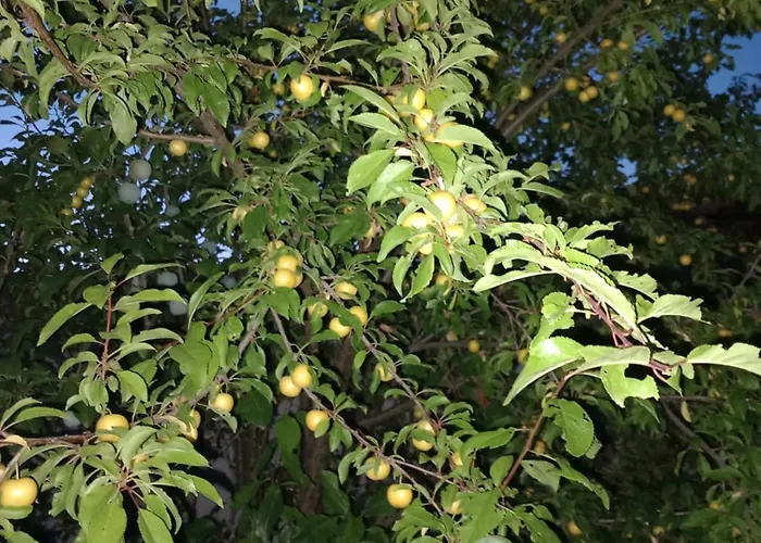 La Tourterelle En Auvergne Prázdninový dům *