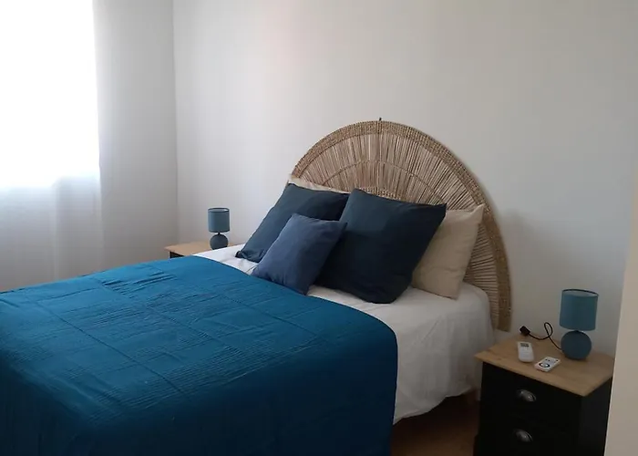 La Tourterelle En Auvergne Champs (Auvergne)