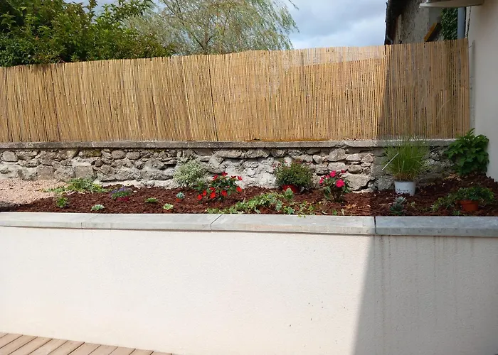 La Tourterelle En Auvergne Champs (Auvergne)