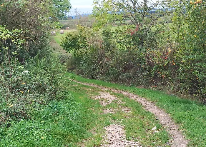 Prázdninový dům La Tourterelle En Auvergne Champs (Auvergne)