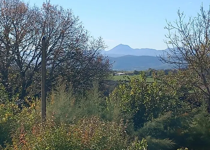 La Tourterelle En Auvergne *